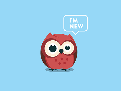 Newbie Owl