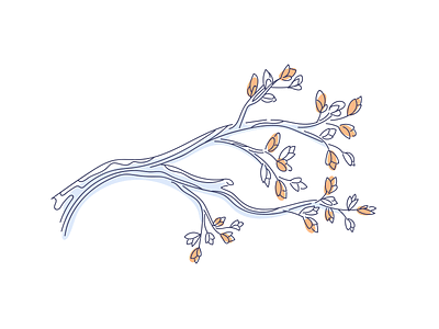 Springtime 🌿 branch flowers illustration line nature spring tree