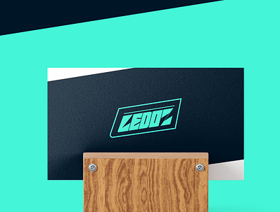 LEDOZ brand branding design flat graphics identity logo typography vector