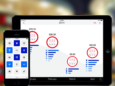 Next for iPad expenses finances ios ipad iphone next ui