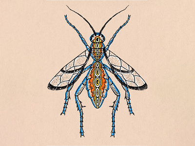 Avispa de Fuego illustration ink insect texture trippyart