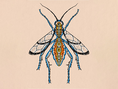Avispa de Fuego illustration ink insect texture trippyart