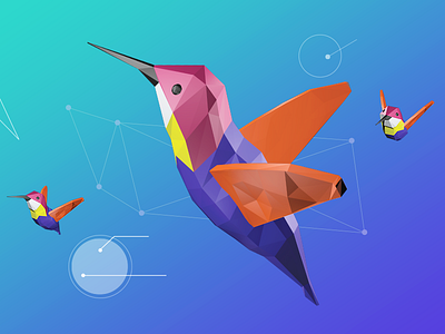 Hummingbird 3D Illustration