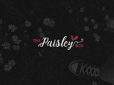 The Paisley Box — Logo Design brand branding creative design designer graphics illustration logo ui vector