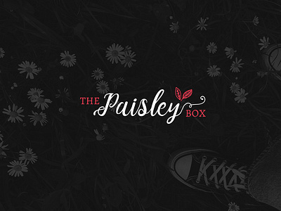The Paisley Box — Logo Design