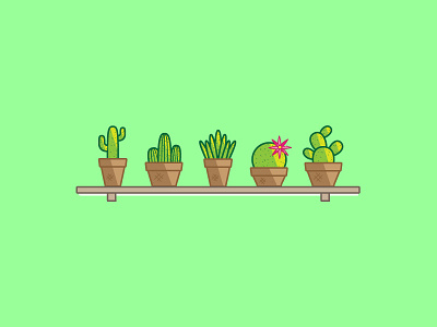 Cactus - 's | Illustration cactus creative design graphics illustration line plants pots shelf