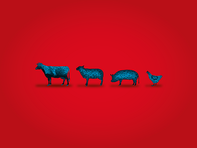 Farm Series Illustration chicken cow farm graphics illustration pig polygon red sheep