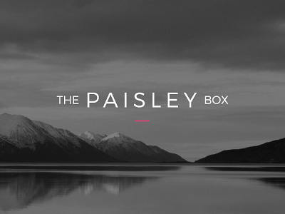 The Paisley Box — Logo Design creative illustration logo mug red skyline typography