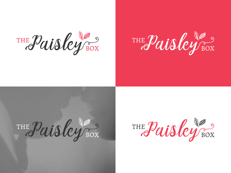 The Paisley Box — Logo Concept brand branding creative design designer development dribbble invite graphics invitation invite logo typography