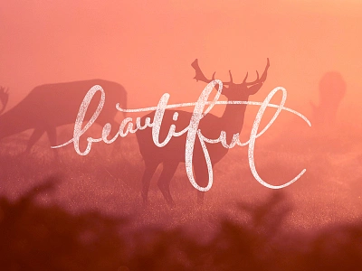 Beautiful font forest handmade letter lettering matter nature trees type vector