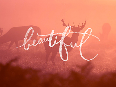 Beautiful font forest handmade letter lettering matter nature trees type vector
