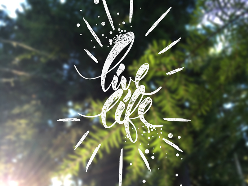 Live Life tecture color design nature tree illustration vector lettering letter type