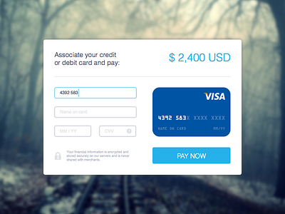 Day 004 - Credit Card Payment amex clean daily 100 daily ui interface mastercard payment paypal stripe ui elements ux visa