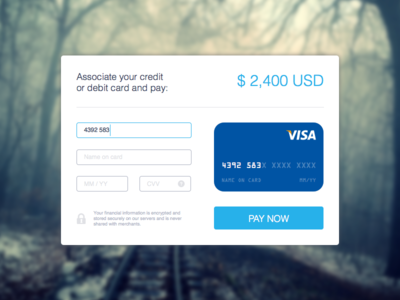 Day 004 - Credit Card Payment amex clean daily 100 daily ui interface mastercard payment paypal stripe ui elements ux visa