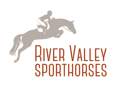 Horse Logo for River Valley Sporthorses branding design equestrian equine horse horse logo jumping horse logo sport vector