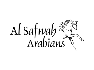 Horse Logo of an Arabian horse arabian branding design equestrian equine farm horse horse farm horse logo logo vector