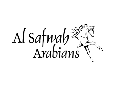 Horse Logo of an Arabian horse