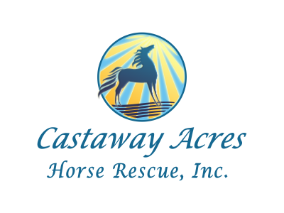 Horse Logo Design for a Horse Rescue animal animal rescue branding equestrian equestrian logo equine equine logo horse horse logo logo vector