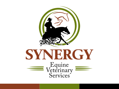 equine veterinarian logo
