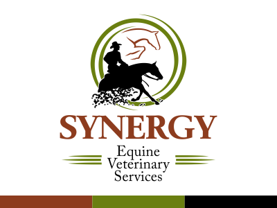 Horse Logo for Equine Veterinary Service