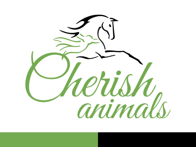 Horse Logo Design for a Non-profit Organization