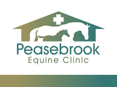 Horse Logo for Equine Veterinary Service animal branding design equestrian equine equine logo horse horse logo logo vector veterinarian veterinary