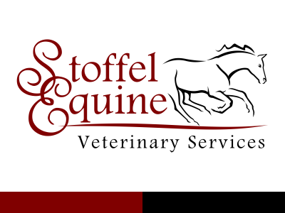 Horse Logo for an Equine Veterinary Service
