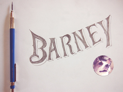 Barney - One of our 7 rescued mutts animals delight dog love dogs hand lettering lettering mutt mutts sketching