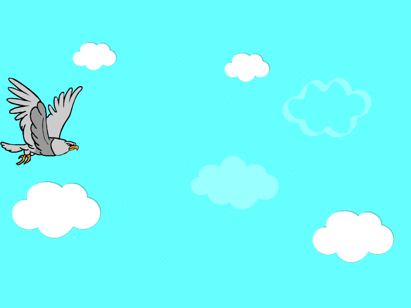 Bird animation