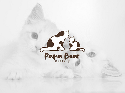 Papa Bear Cattery Logo Design branding design graphic design logo