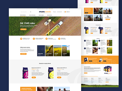 Online Shop - MasSeeds design ecommerce massedes online shop seeds ui ux webdesign website