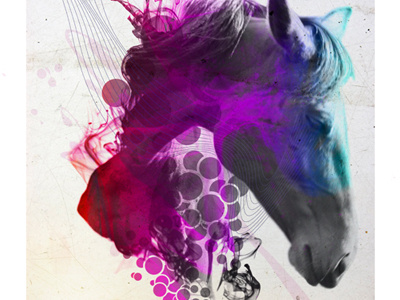 Mo Chroí abstract animal art design horse portrait pride retro