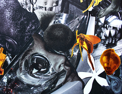 BUGS IN THE SYSTEM amber blackandwhite collage collageart