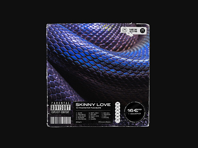 Cd cover branding cd artwork cd cover cd design cover cover art cover design creative music snake snakecover vinyl vinyl cover vinylcover