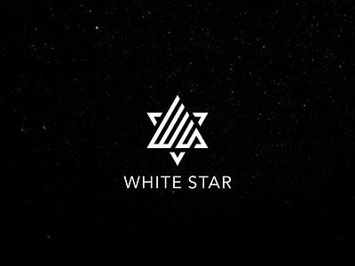 ws branding design flat identity lettering logo minimal simple typography vector