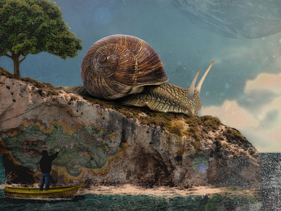 snail island