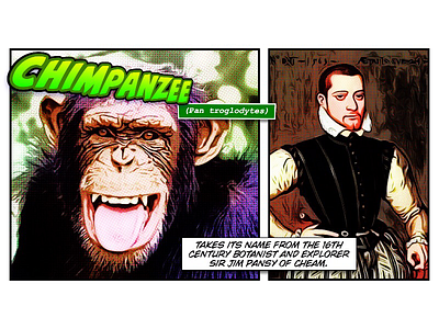 Jim botanist chimp chimpanzee comic explorer halftoon
