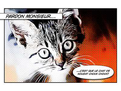 Nougat cat chat chatanooga choo comic art en francais home nougat