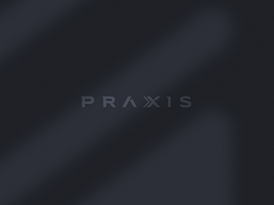 Práxis | Brand & Visual Identity 01 brand brand design branding branding concept branding design business consulting design illustration logo ui vector