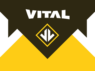 Vital Hat Company Rebrand apparel campaignium hats lids springfield missouri vital vital hat company