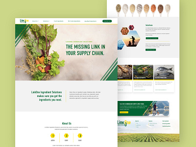 LinkOne Ingredient Solutions Website graphic design ingredient supplier web design website development