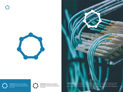 Logo Concept for Network Share and Cable Management