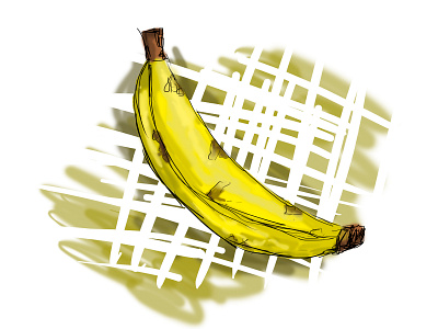 Banano banana cesar fruit fruit illustration fruits g valentina oñate image valledupar