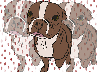 Oliver boston terrier digital art digital. illustration dog dog portrait oliver puppy puppy portrait