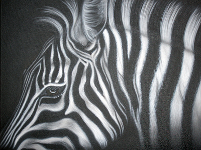 Zebra airbrush animal black and white convas painting zebra