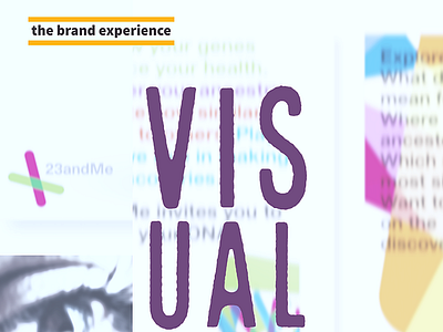 The Brand Experience: Visual brand experience study visual visual design visual identity
