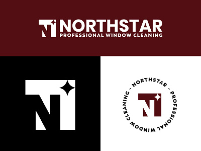 Northstar Professional Window Cleaning lettermark negative space northstar star window