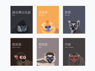 For "100 Monkeys" illustration monkeys