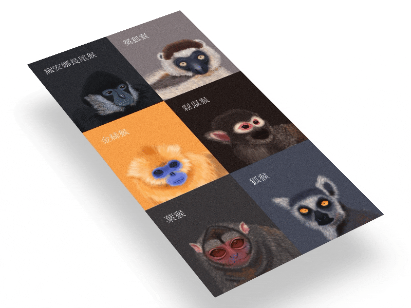 Demo for "100 Monkeys" app illustration monkeys ux