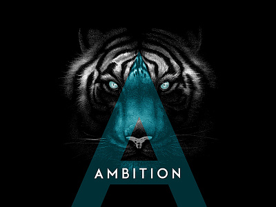 Tiger Ambition ambition design eye of the tiger eyes teal tiger typography